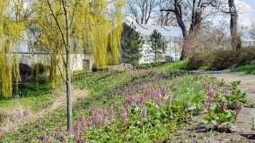 Park w Lubostroniu budzi się do życia! - zdjęcie 22