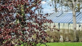 Park w Lubostroniu budzi się do życia! - zdjęcie 23