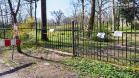Park w Lubostroniu budzi się do życia! - zdjęcie 3