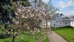 Park w Lubostroniu budzi się do życia! - zdjęcie 4