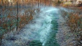 Ogrzewanie powierzchni upraw za pomocą ognia - zdjęcie 32