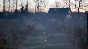 Ogrzewanie powierzchni upraw za pomocą ognia - zdjęcie 27