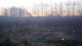 Ogrzewanie powierzchni upraw za pomocą ognia - zdjęcie 25