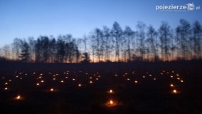 Ogrzewanie powierzchni upraw za pomocą ognia - zdjęcie 24