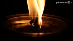 Ogrzewanie powierzchni upraw za pomocą ognia - zdjęcie 23