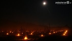 Ogrzewanie powierzchni upraw za pomocą ognia - zdjęcie 22