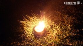 Ogrzewanie powierzchni upraw za pomocą ognia - zdjęcie 18