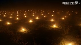 Ogrzewanie powierzchni upraw za pomocą ognia - zdjęcie 15