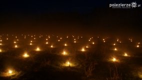 Ogrzewanie powierzchni upraw za pomocą ognia - zdjęcie 13