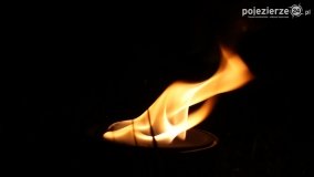 Ogrzewanie powierzchni upraw za pomocą ognia - zdjęcie 8