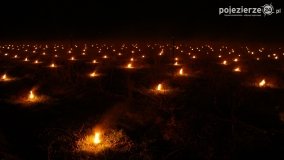 Ogrzewanie powierzchni upraw za pomocą ognia - zdjęcie 7