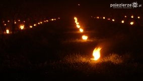 Ogrzewanie powierzchni upraw za pomocą ognia - zdjęcie 6