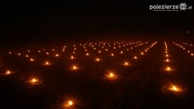 Ogrzewanie powierzchni upraw za pomocą ognia - zdjęcie 5