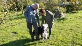 Skarby i tajemnice powiatu gnieźnieńskiego - zdjęcie 24