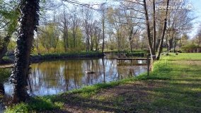 Skarby i tajemnice powiatu gnieźnieńskiego - zdjęcie 23