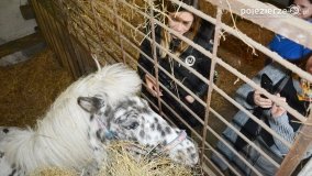 Skarby i tajemnice powiatu gnieźnieńskiego - zdjęcie 20