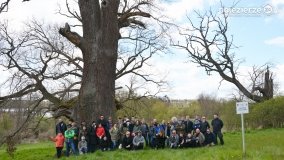 Skarby i tajemnice powiatu gnieźnieńskiego - zdjęcie 11