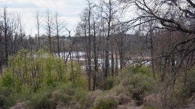 Skarby i tajemnice powiatu gnieźnieńskiego - zdjęcie 10