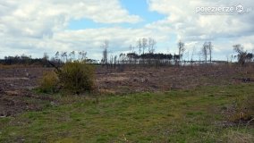 Skarby i tajemnice powiatu gnieźnieńskiego - zdjęcie 3