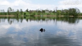 „Operacja Kołdrąb”  - zdjęcie 64