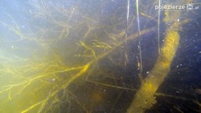 „Operacja Kołdrąb”  - zdjęcie 63