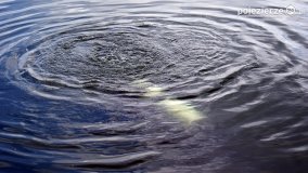 „Operacja Kołdrąb”  - zdjęcie 60