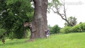 Od niemieckiej zbrodni do napoleońskiego skarbu!  - zdjęcie 49