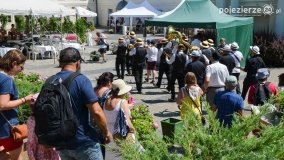 Majówka Jazzowa - zdjęcie 7