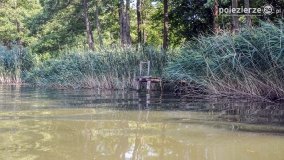 Odkrywamy walory Noteci - zdjęcie 18