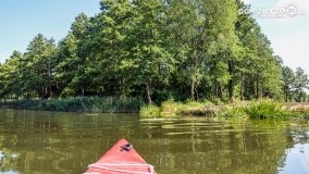 Odkrywamy walory Noteci - zdjęcie 17