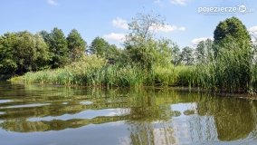 Odkrywamy walory Noteci - zdjęcie 16