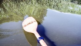 Odkrywamy walory Noteci - zdjęcie 15