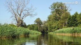 Odkrywamy walory Noteci - zdjęcie 9