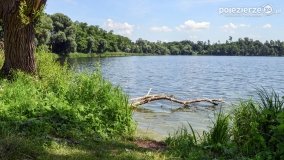 Wenecja – Perła Pałuk - zdjęcie 20