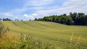 Wenecja – Perła Pałuk - zdjęcie 19