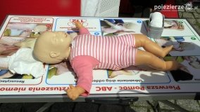 Piknik rodzinny „Strefa Bezpieczeństwa Compensy” - zdjęcie 58