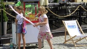 Piknik rodzinny „Strefa Bezpieczeństwa Compensy” - zdjęcie 50