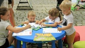 Piknik rodzinny „Strefa Bezpieczeństwa Compensy” - zdjęcie 20