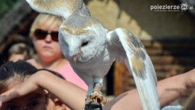 Biskupin powrócił do przeszłości - zdjęcie 6