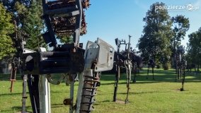 Lubostroński park pełen atrakcji - zdjęcie 14