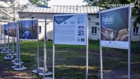 Lubostroński park pełen atrakcji - zdjęcie 18