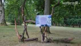 Lubostroński park pełen atrakcji - zdjęcie 5