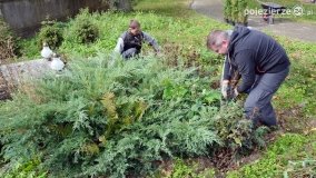 Fundacyjna akcja w Popowie Ignacewie - zdjęcie 9