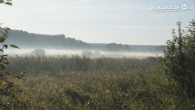 Różne barwy jesieni - zdjęcie 40