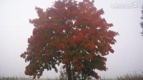 Różne barwy jesieni - zdjęcie 39