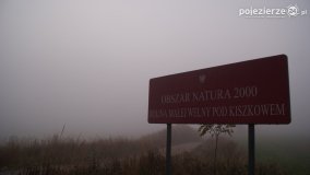 Różne barwy jesieni - zdjęcie 37