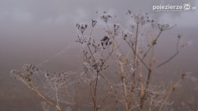 Różne barwy jesieni - zdjęcie 36