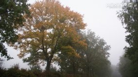 Różne barwy jesieni - zdjęcie 35