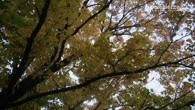 Różne barwy jesieni - zdjęcie 33