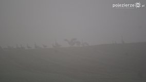 Różne barwy jesieni - zdjęcie 31